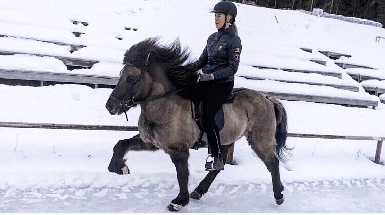 Studenten Vilma rider en islandshäst i tölt på en snötäckt bana