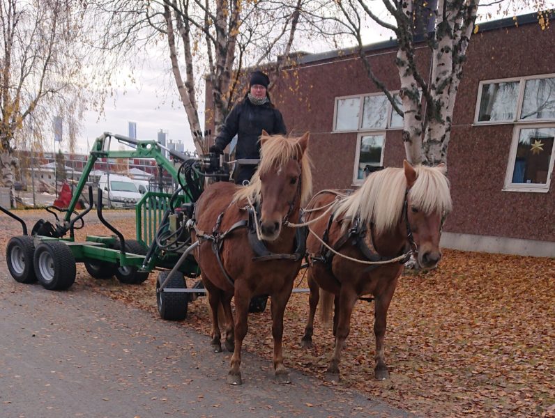 Två bruna russ med ljusa manar framför en griplastarvagn. På kuskbocken en kvinna i mörka kläder. Marken är täckt av högslöv och i bakgrunden syns en industribyggnad i tegel.