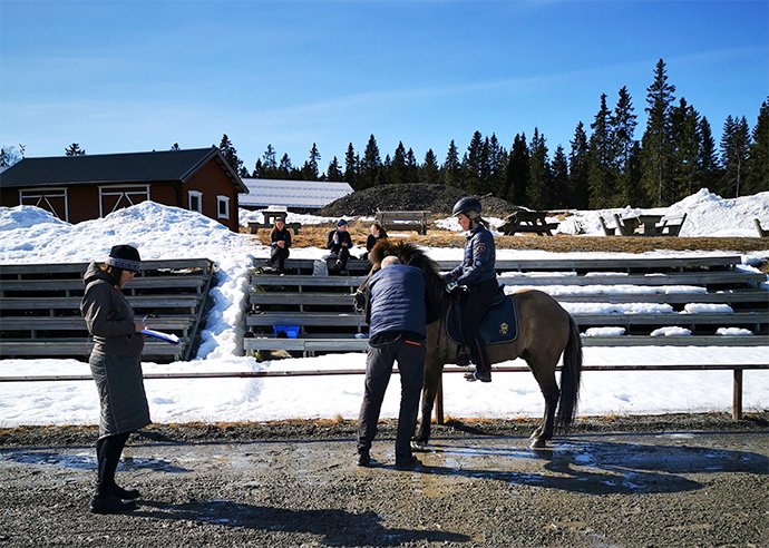 En person står vinterklädd och antecknar i ett block, lång man som är veterinär syns bakifrån medan han tar blodprov på en islandshäst. På hästen sitter en kvinnlig ryttare. Banan är sandig och delvis blöt. I bakgrunden syns en läktare med några personer som tittar på försöken med fiktiva töltfinaler, runt om läktaren är marken snötäckt.