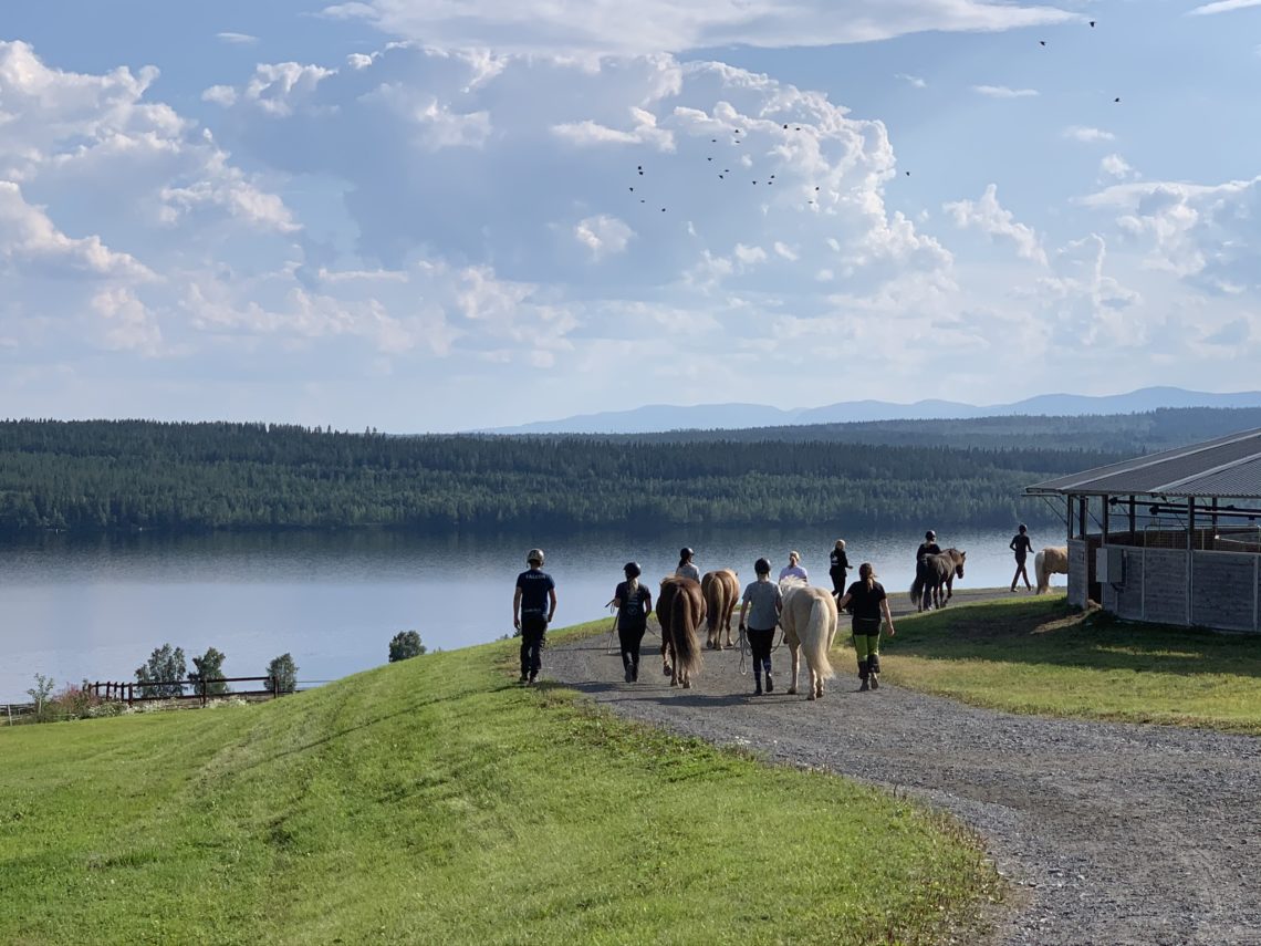 Grupp av människor leder islandshästar förbi en skrittmaskin. Gräset är grönt och man ser sjö och fjäll i bakgrunden