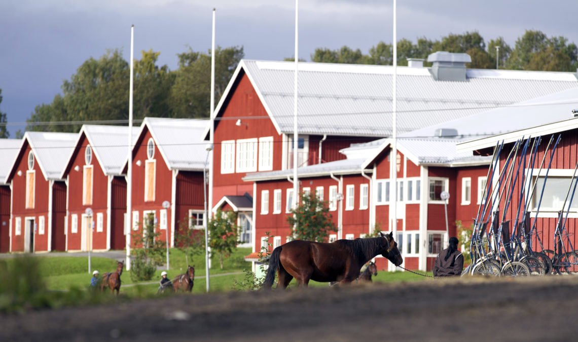 Sommarbild som visar Wångens skolbyggnader och travhästar som leds eller körs förbi