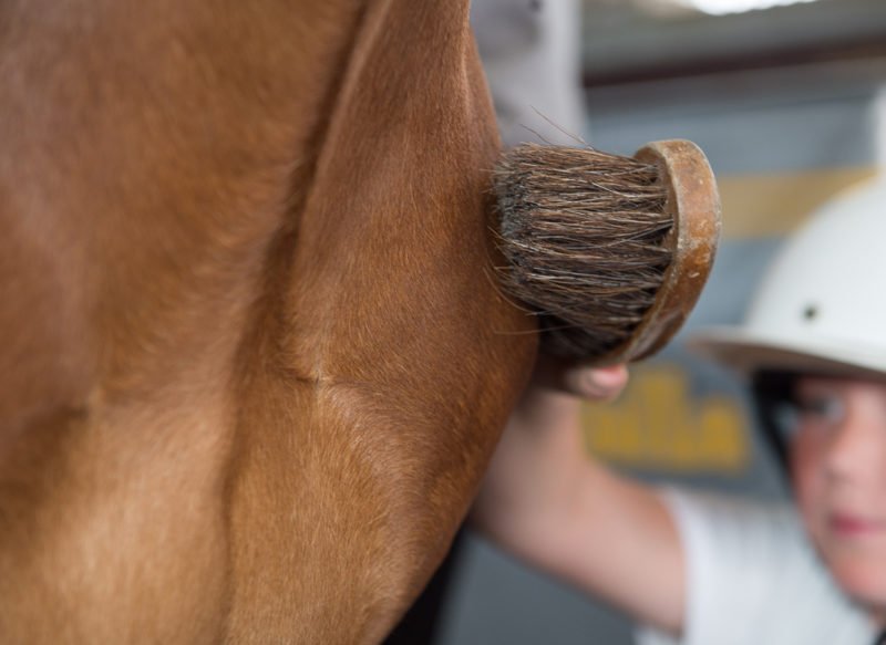 Ett barn borstar en häst - en bild som får symbolisera Hästunderstödda insatser inriktning aktivitet