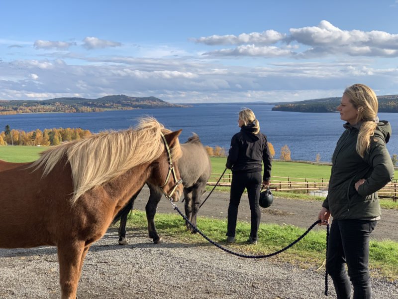 Två kvinnor håller i varsin islandshäst och spanar på utsikten över Alsensjön.