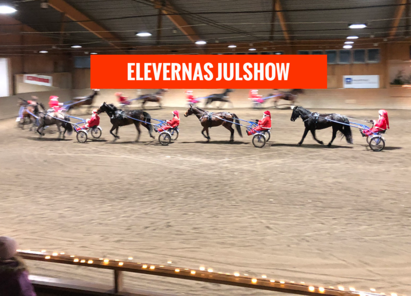 Travkadrilj med tomteklädda kuskar i Wångens ridhus under julshow