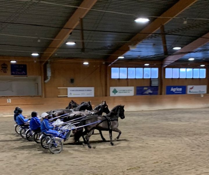 Fyra travekipage i rad i Wångens ridhus övar travkadrilj inför uppvisningen på Sweden International Horse Show