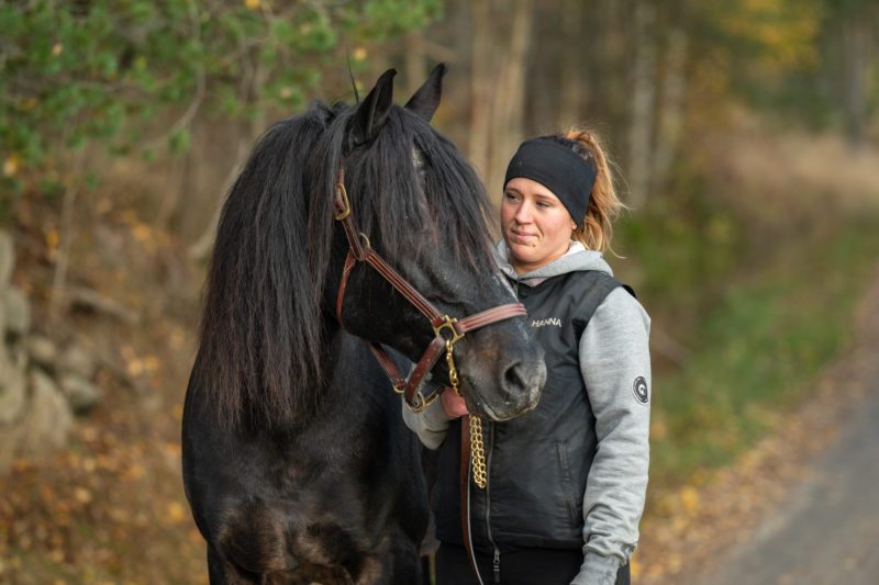 Ung kvinna tittar ömt på svart kallblodstravare med gråa hår i pälsen, Järvsöfaks!