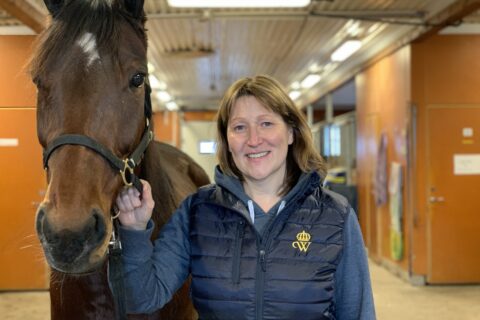 Annika står i ett stall och håller ena handen om grimman på en varmblodstravare. Hon har blå tröja och blå väst med Wångens sigill på.