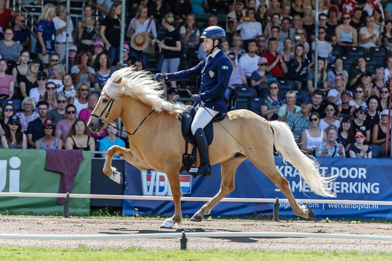 Máni Hilmarsson i tölt på lång tygel. Han rider en ljusfux framför fullsatta läktare.