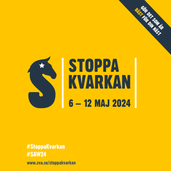 Gul ruta med texten Stoppa kvarkan 6-12 maj 2024