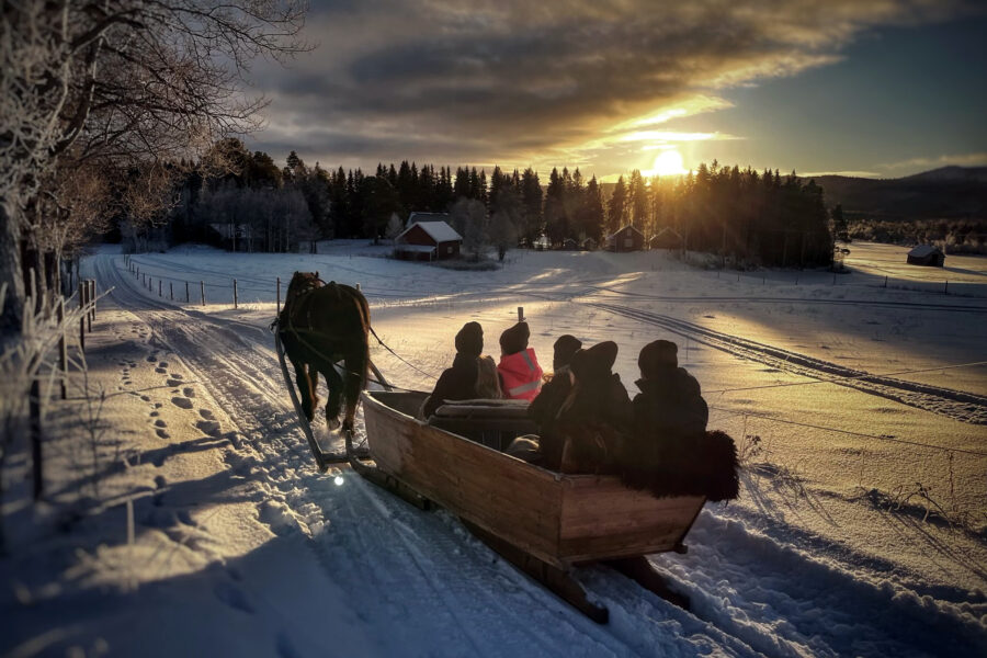 En häst drar en släde över ett snötäckt öppet landskap. Solen håller å att gå ned över grantopparna.