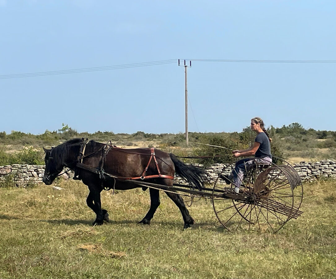 En solig dag kör Maria Lindmark förbi fotografen.