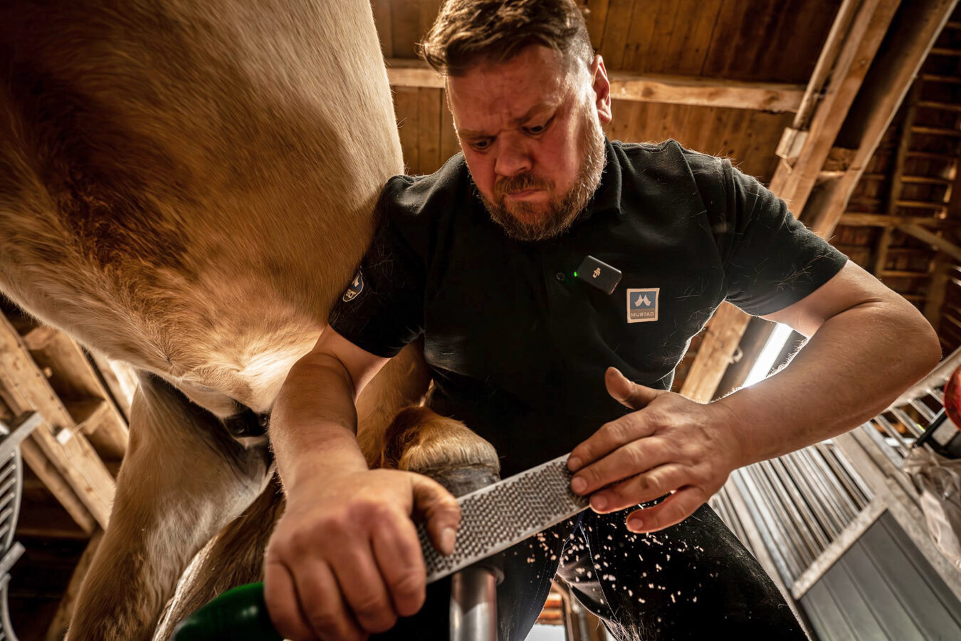 Kristjan Elvar Gíslason står böjd över ett hästben och drar en rasp över hoven