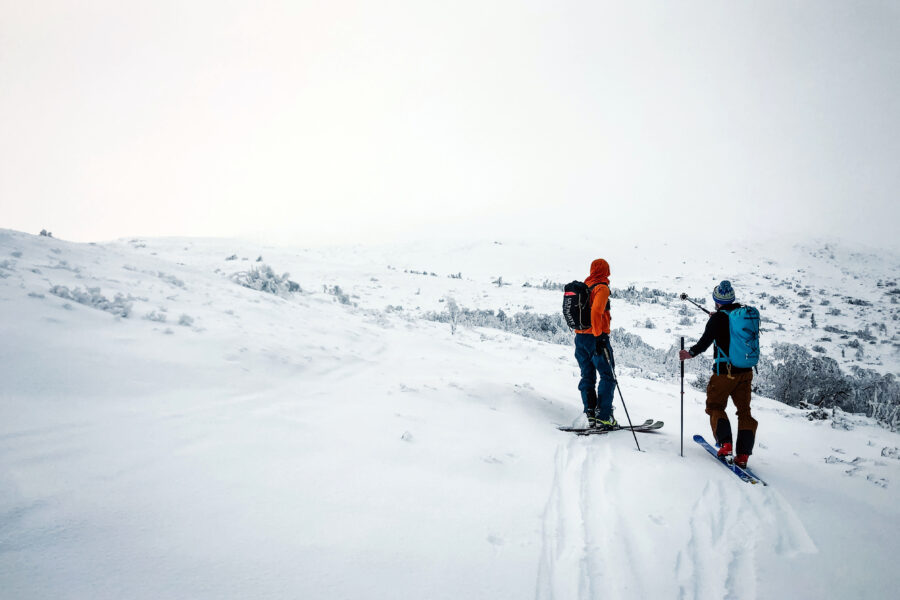 I ett snölandskap står två män på skidor med stighudar. En pekar framåt med staven.